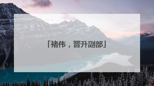 褚伟，晋升副部