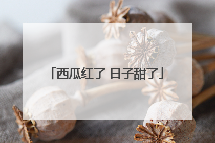 西瓜红了 日子甜了