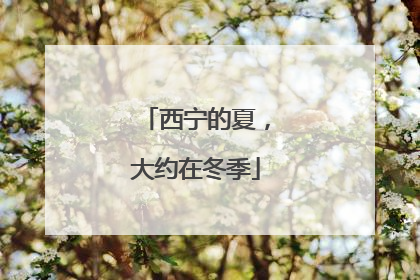 西宁的夏，大约在冬季
