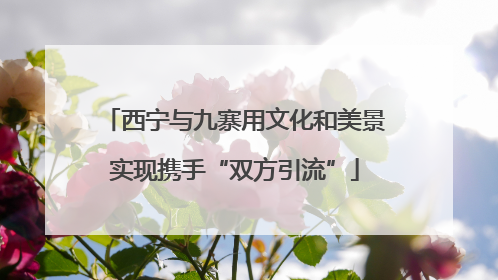 西宁与九寨用文化和美景实现携手“双方引流”