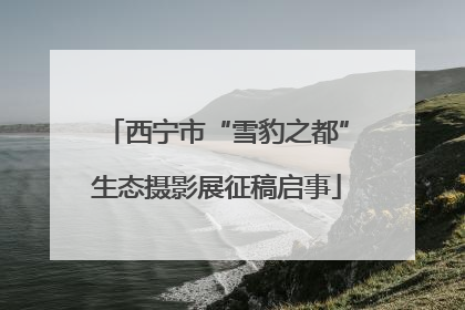 西宁市“雪豹之都”生态摄影展征稿启事