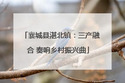 襄城县湛北镇：三产融合 奏响乡村振兴曲