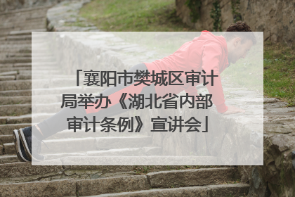 襄阳市樊城区审计局举办《湖北省内部审计条例》宣讲会