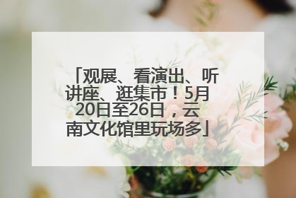 观展、看演出、听讲座、逛集市！5月20日至26日，云南文化馆里玩场多