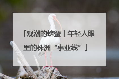 观潮的螃蟹丨年轻人眼里的株洲“事业线”