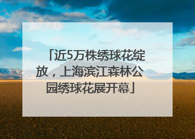 近5万株绣球花绽放，上海滨江森林公园绣球花展开幕