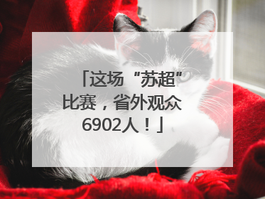 这场“苏超”比赛，省外观众6902人！