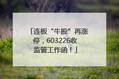 连板“牛股”再涨停，603226收监管工作函！