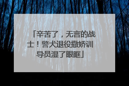 辛苦了，无言的战士！警犬退役撒娇训导员湿了眼眶