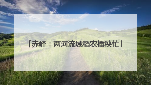 赤峰：两河流域稻农插秧忙