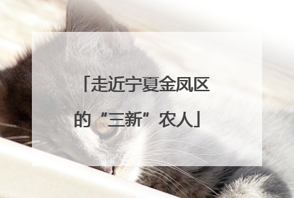 走近宁夏金凤区的“三新”农人