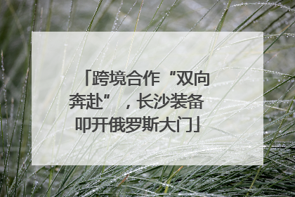 跨境合作“双向奔赴”，长沙装备叩开俄罗斯大门