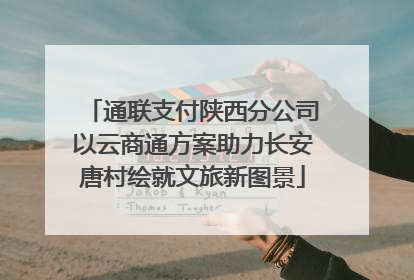 通联支付陕西分公司以云商通方案助力长安唐村绘就文旅新图景