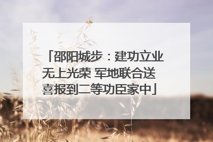 邵阳城步：建功立业无上光荣 军地联合送喜报到二等功臣家中