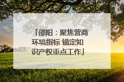 邵阳：聚焦营商环境指标 锚定知识产权重点工作
