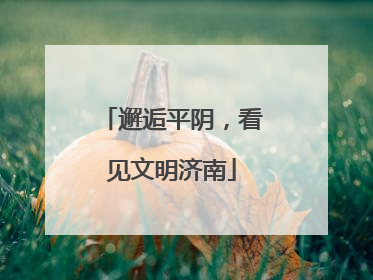 邂逅平阴，看见文明济南