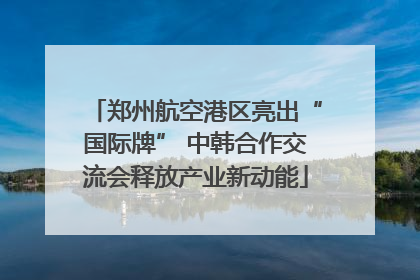 郑州航空港区亮出“国际牌” 中韩合作交流会释放产业新动能