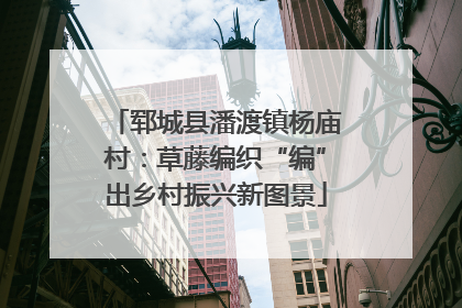 郓城县潘渡镇杨庙村：草藤编织“编”出乡村振兴新图景