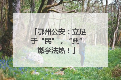 鄂州公安：立足于“民”，“典”燃学法热！