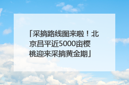 采摘路线图来啦！北京昌平近5000亩樱桃迎来采摘黄金期