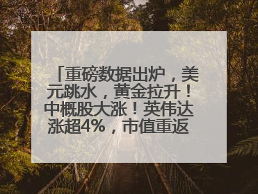 重磅数据出炉，美元跳水，黄金拉升！中概股大涨！英伟达涨超4%，市值重返全球第一！黄仁勋计划出售至多600万股股票