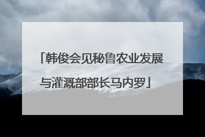 韩俊会见秘鲁农业发展与灌溉部部长马内罗