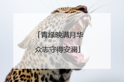 青绿映满月华 众志守得安澜
