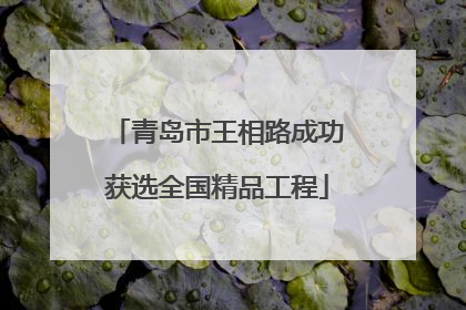 青岛市王相路成功获选全国精品工程