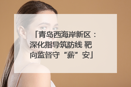 青岛西海岸新区：深化指导筑防线 靶向监督守“薪”安