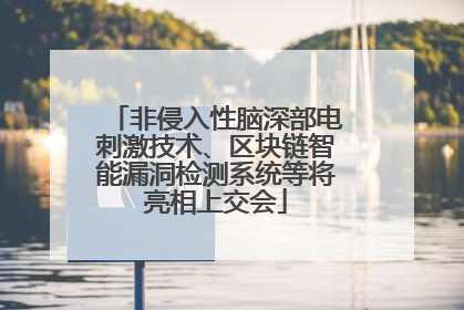 非侵入性脑深部电刺激技术、区块链智能漏洞检测系统等将亮相上交会