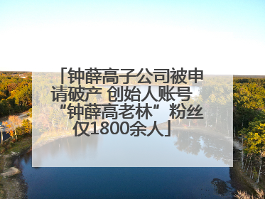钟薛高子公司被申请破产 创始人账号“钟薛高老林”粉丝仅1800余人