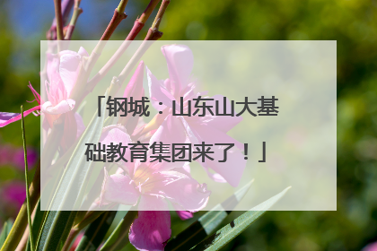 钢城：山东山大基础教育集团来了！