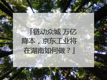 链动众城 万亿降本，京东工业将在湖南如何做？