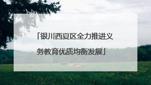 银川西夏区全力推进义务教育优质均衡发展