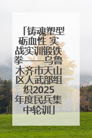 铸魂塑型砺血性 实战实训锻铁拳——乌鲁木齐市天山区人武部组织2025年度民兵集中轮训