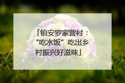 镇安罗家营村：“吃水饭”吃出乡村振兴好滋味