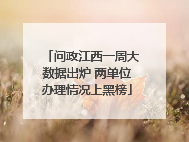 问政江西一周大数据出炉 两单位办理情况上黑榜