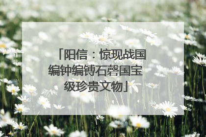 阳信：惊现战国编钟编镈石磬国宝级珍贵文物