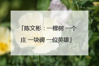 陈文彬：一棵树 一个庄 一块碑 一位英雄