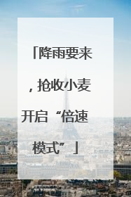 降雨要来，抢收小麦开启“倍速模式”