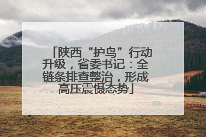 陕西“护鸟”行动升级，省委书记：全链条排查整治，形成高压震慑态势