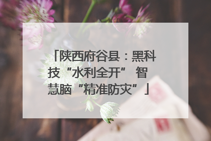 陕西府谷县：黑科技“水利全开” 智慧脑“精准防灾”
