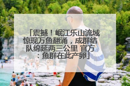 震撼！岷江乐山流域惊现万鱼翻涌，成群结队绵延两三公里 官方：鱼群在此产卵