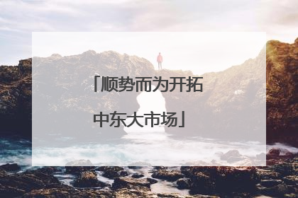 顺势而为开拓中东大市场