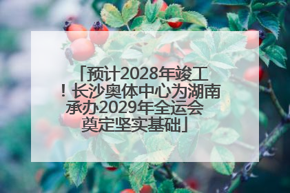 预计2028年竣工！长沙奥体中心为湖南承办2029年全运会奠定坚实基础