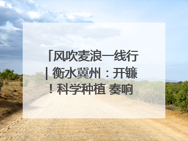 风吹麦浪一线行｜衡水冀州：开镰！科学种植 奏响丰收序曲