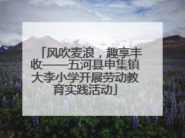 风吹麦浪，趣享丰收——五河县申集镇大李小学开展劳动教育实践活动