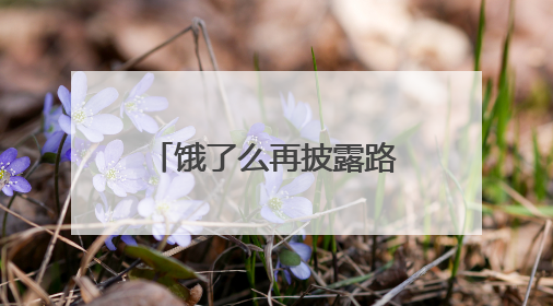 饿了么再披露路线规划算法，已公开并推进优化四项关键算法