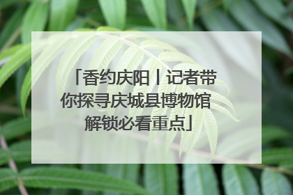 香约庆阳丨记者带你探寻庆城县博物馆 解锁必看重点