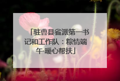 驻曹县省派第一书记和工作队：粽情端午·暖心帮扶